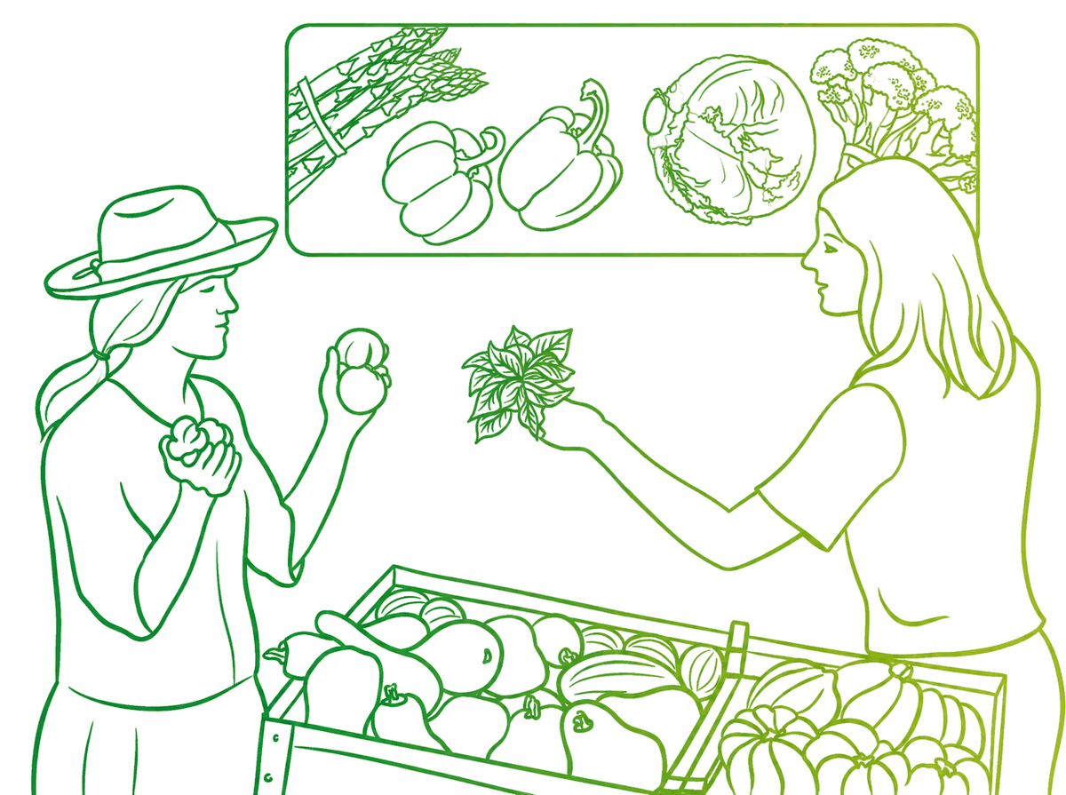 Line illustration of a farmer in a sun hat and a CSA member exchanging fresh basil and tomatoes over crates of peppers, squash and melons, with asparagus, peppers, cabbage and broccoli shown above